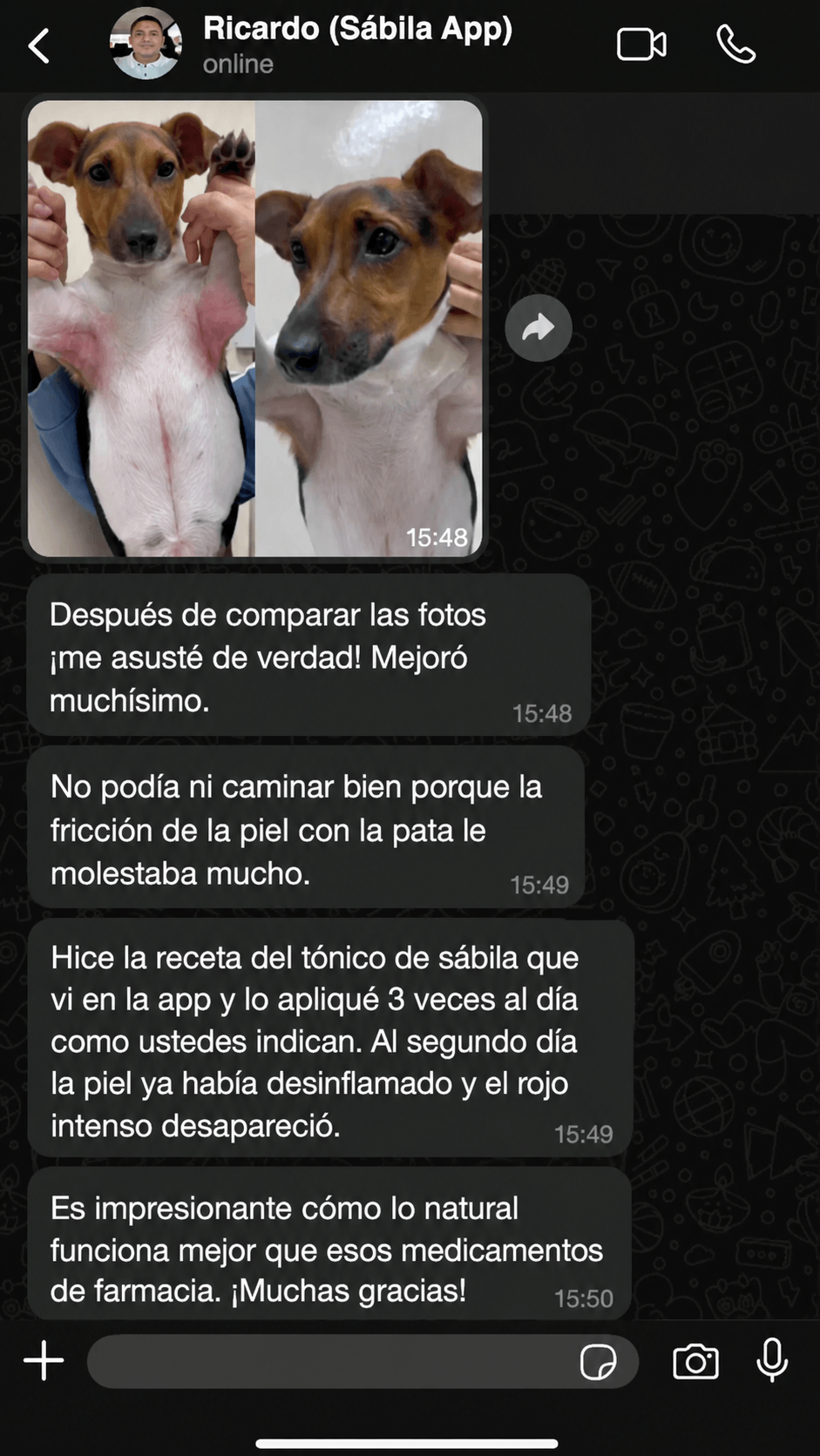 Depoimento 1