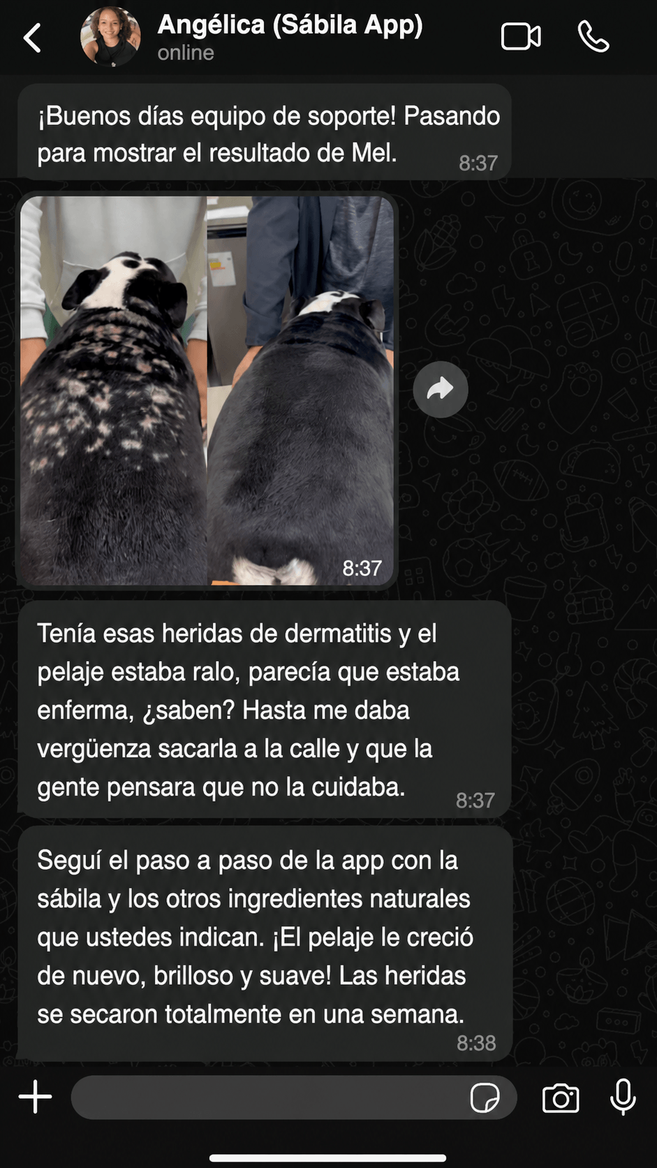 Depoimento 2